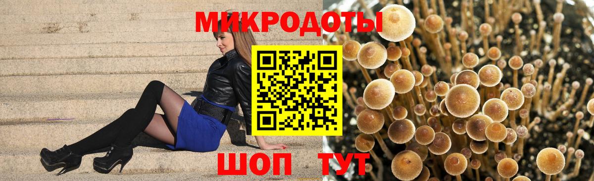 Галлюциногенные грибы Psilocybine cubensis  Вход с VPN  Калининград 